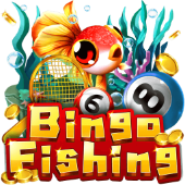 Câu Cá Bingo rwi games